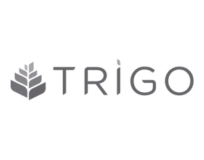 Trigo