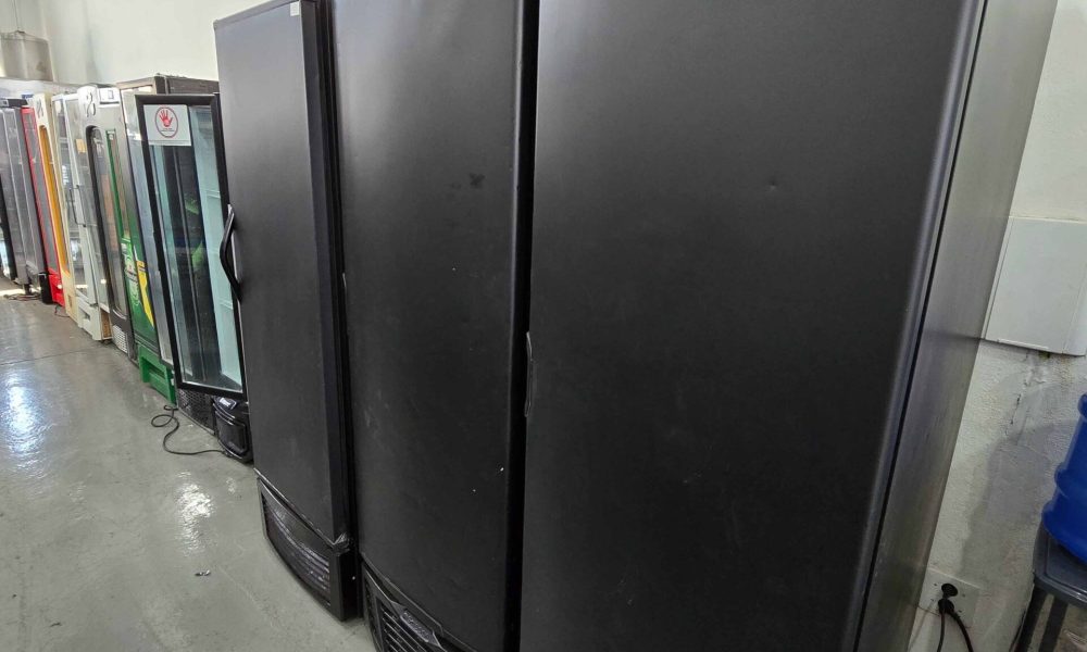 Freezer Vertical Porta Cega-12