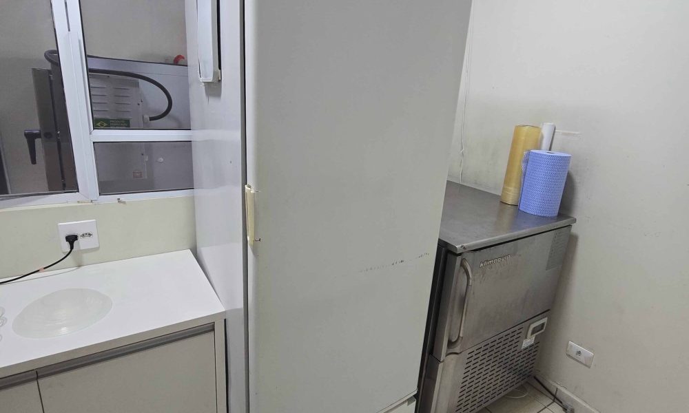 Freezer Vertical Porta Cega-13