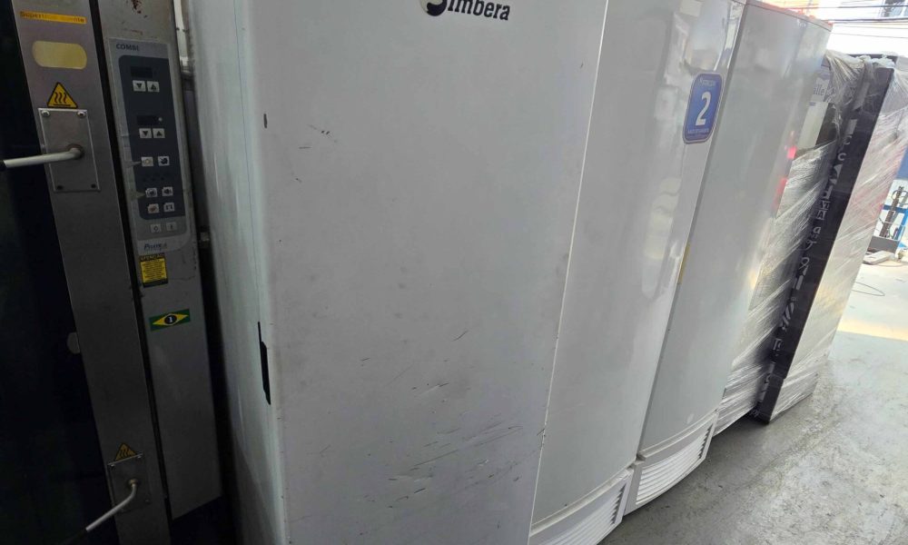 Freezer Vertical Porta Cega-15